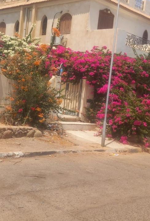 Photo of Others in El Hadaba