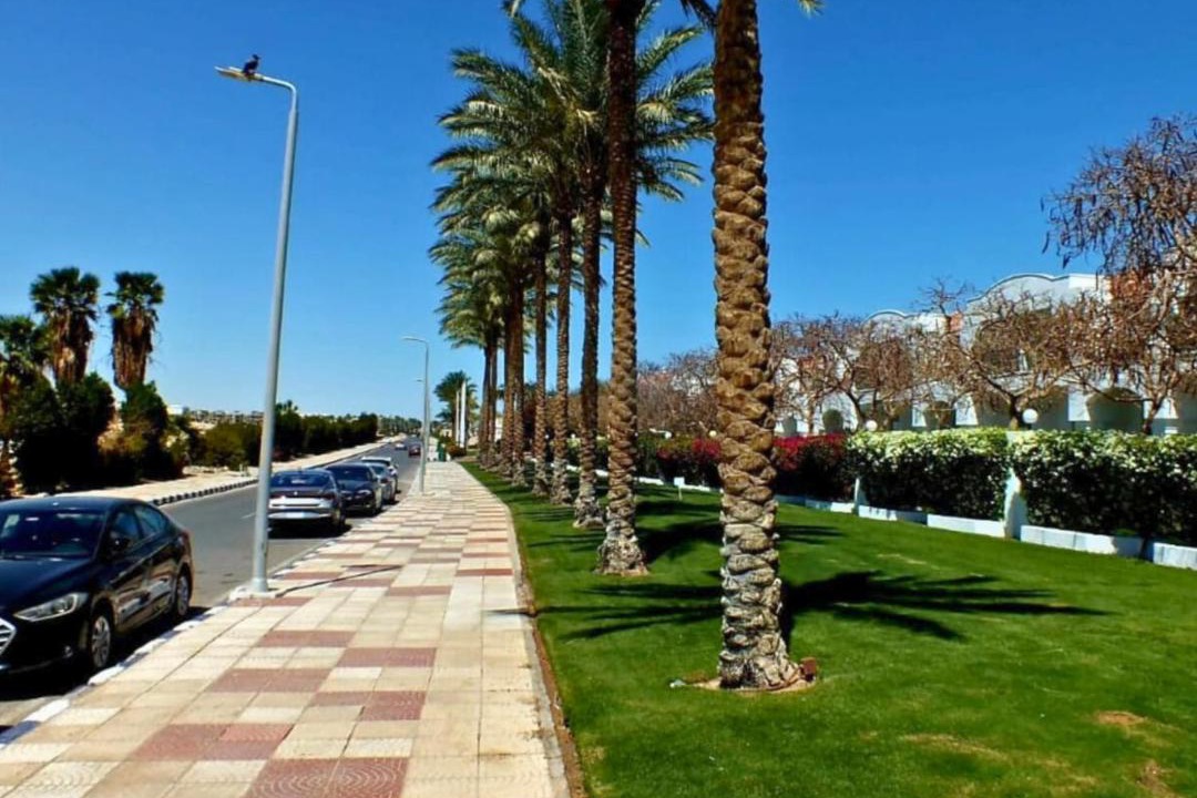 Photo of Others in Ras Nasrani