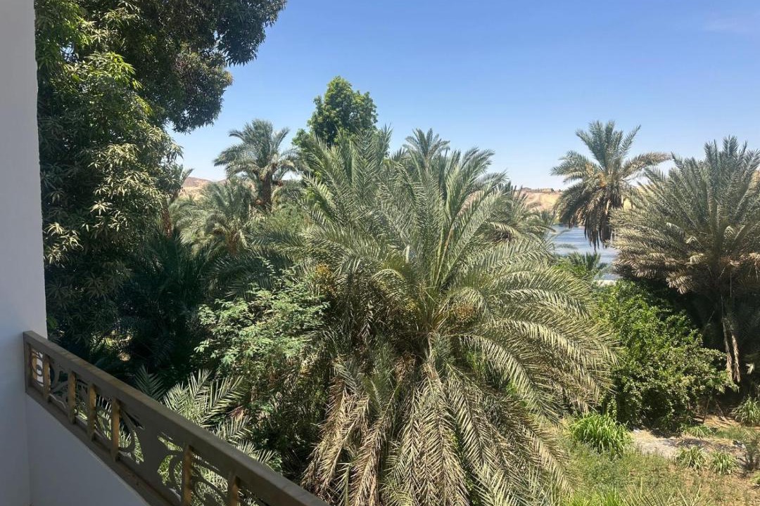 Photo of Others in Aswan