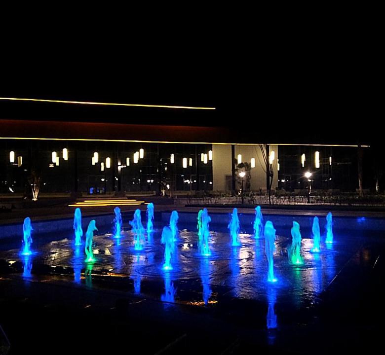 Photo of Others in Marina El Alamein