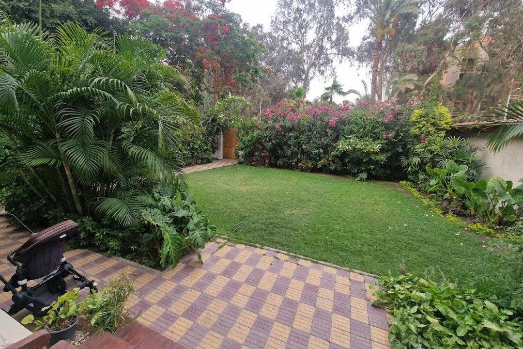 Photo of Others in Maadi
