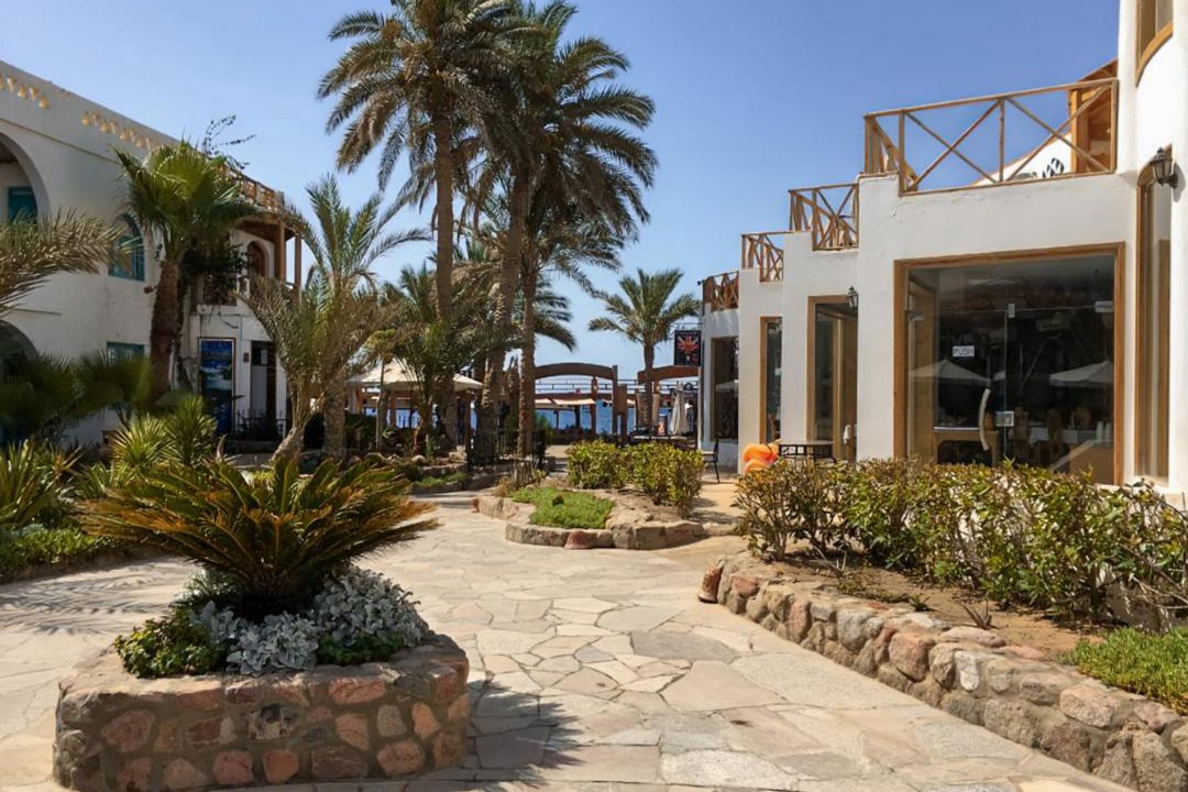 Photo of Others in Dahab