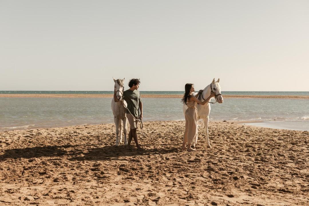 Photo of Others in El Gouna