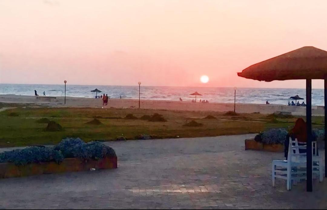 Photo of Others in Borg el Arab