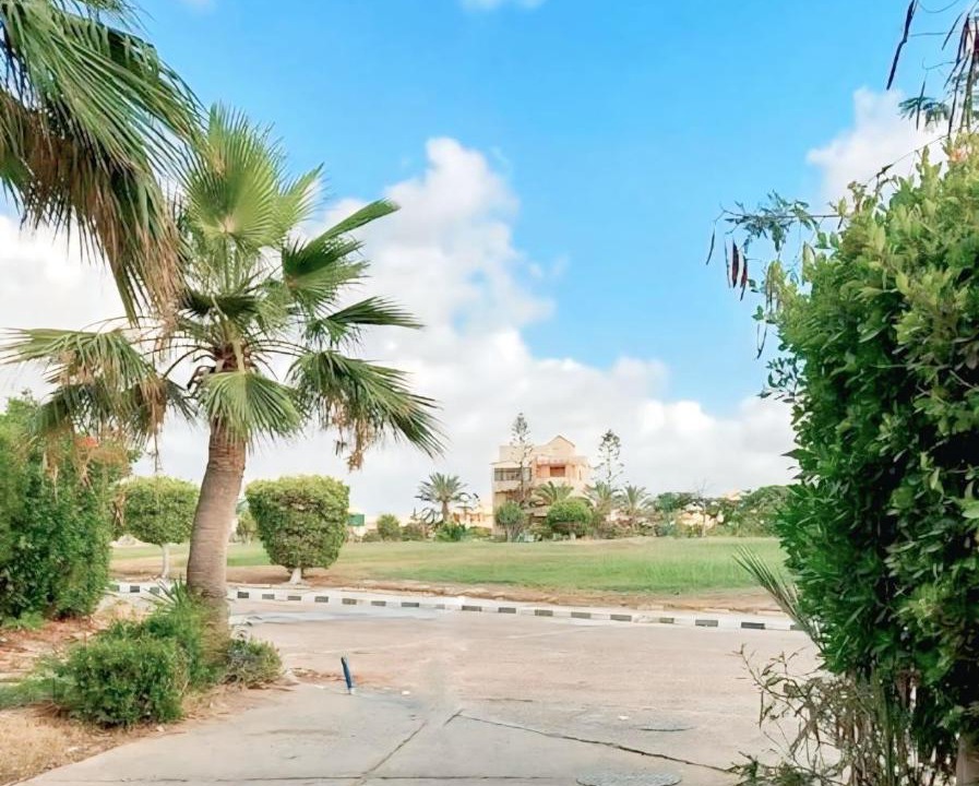 Photo of Others in Borg el Arab