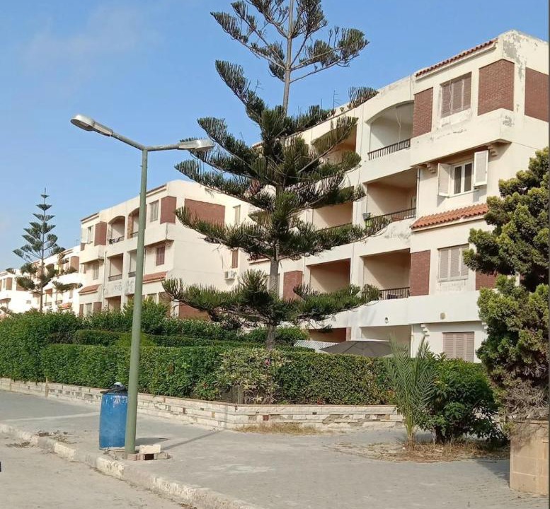 Photo of Others in Borg el Arab