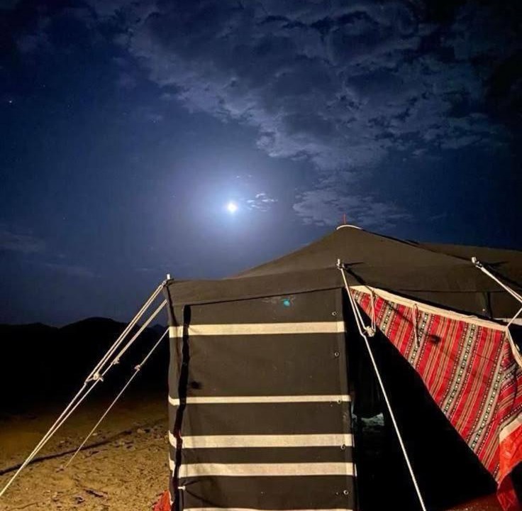 Photo of Others in Dakhla
