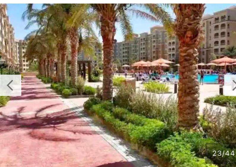 Photo of Others in Marina El Alamein