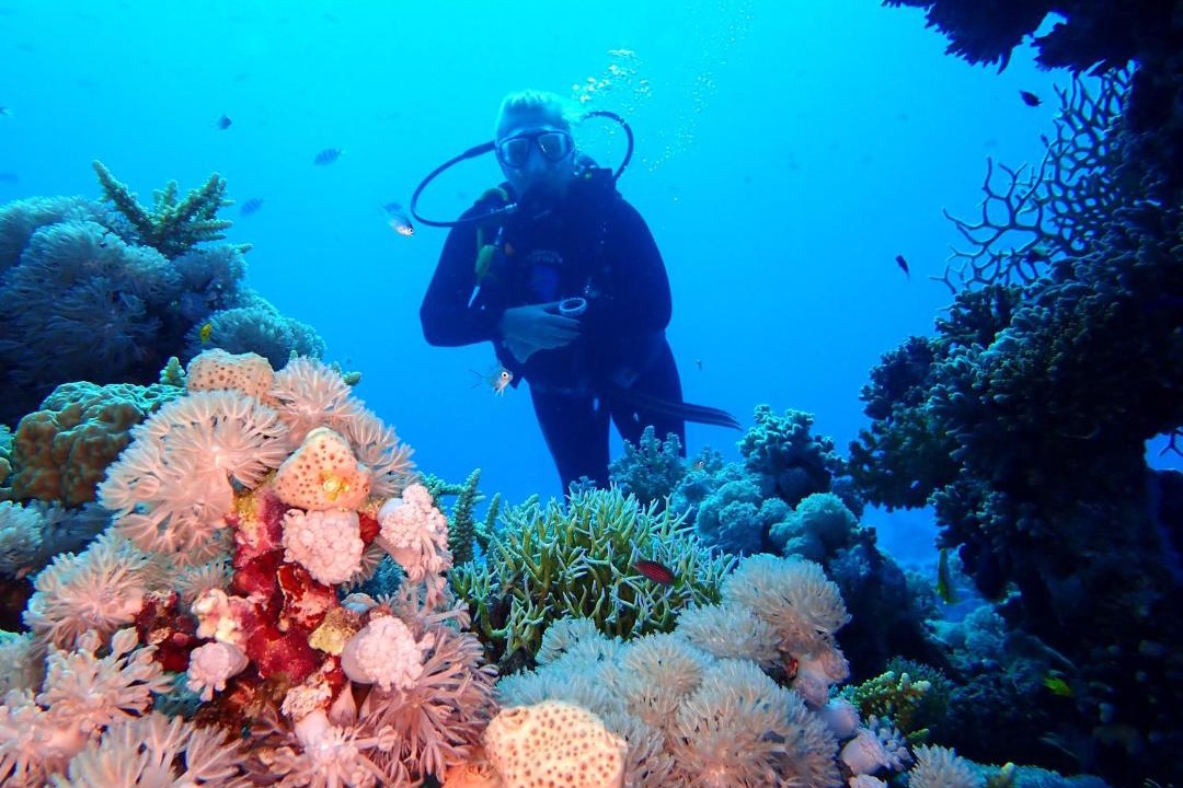 Photo of Others in El Gouna