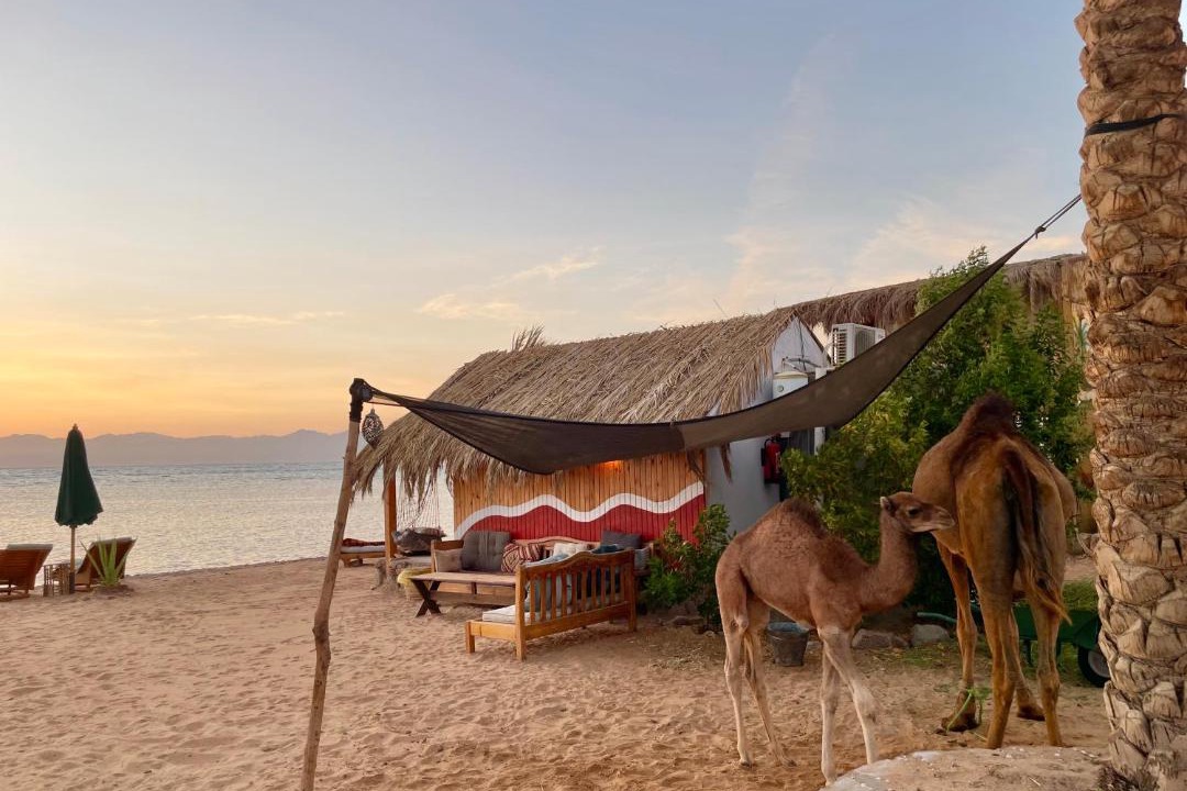 Photo of Others in Nuweiba
