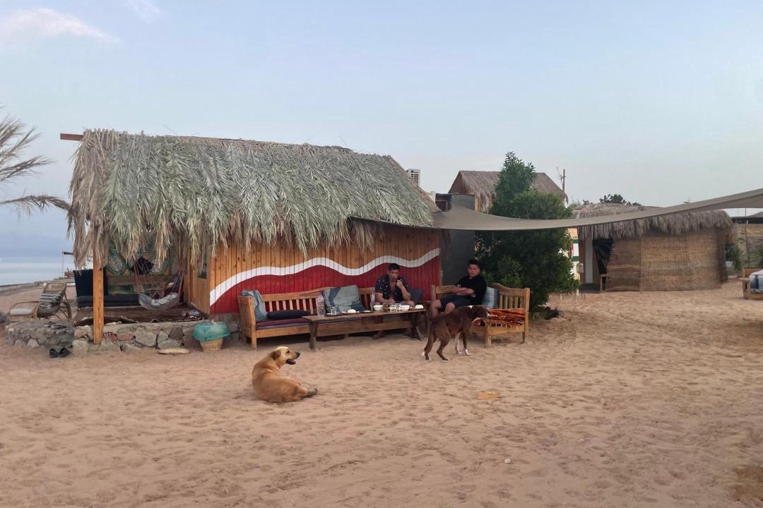 Photo of Others in Nuweiba