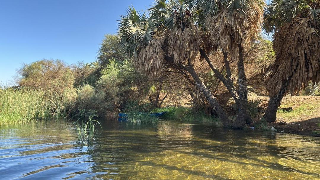 Photo of Others in Aswan