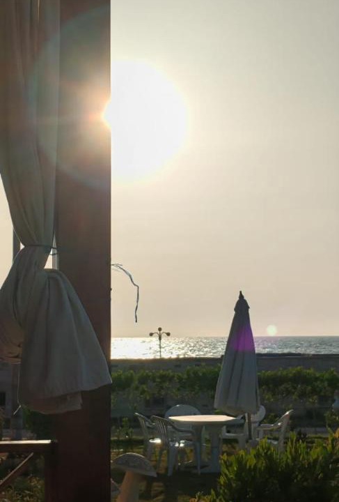Photo of Others in Borg el Arab