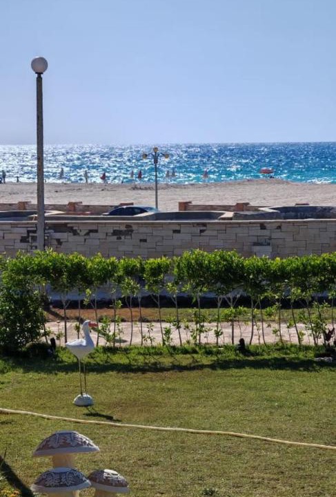 Photo of Others in Borg el Arab