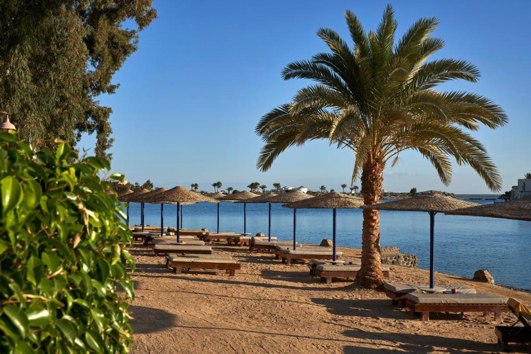 Photo of Others in El Gouna
