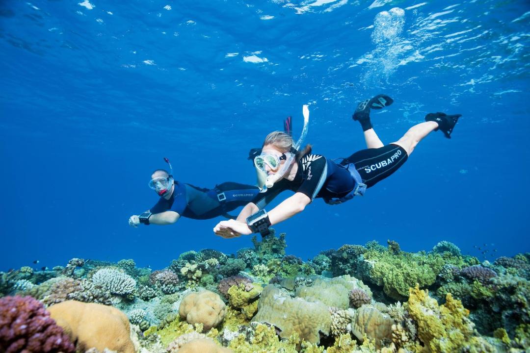 Photo of Others in El Gouna
