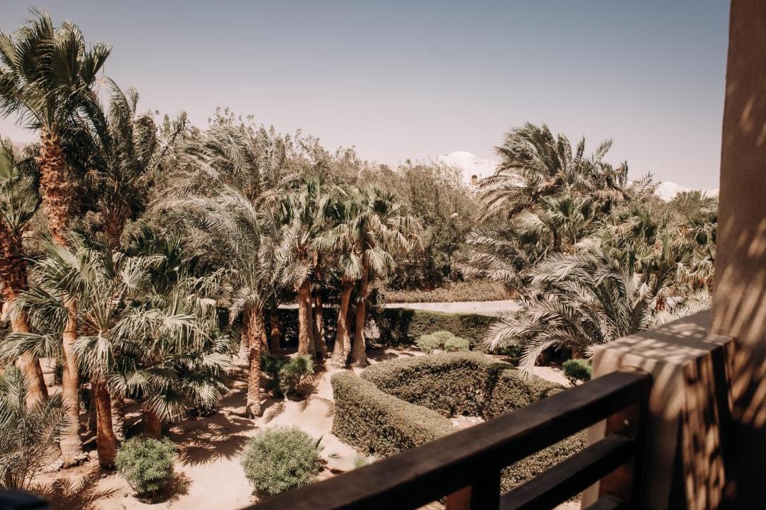 Photo of Others in El Gouna