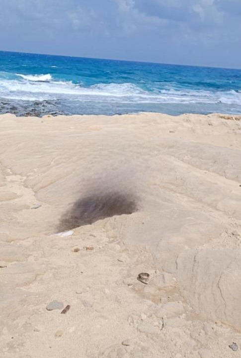 Photo of Others in Marsa Matruh