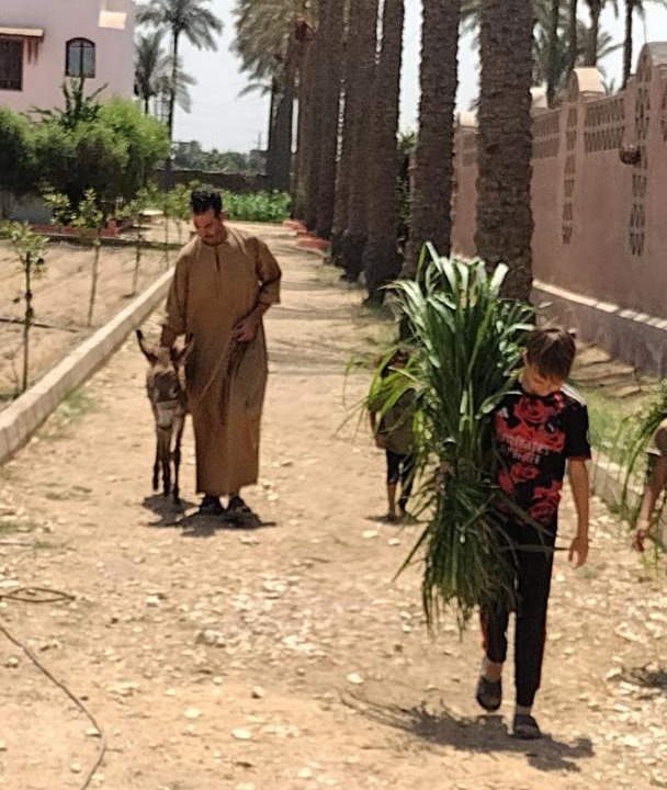 Photo of Others in Kirdasah