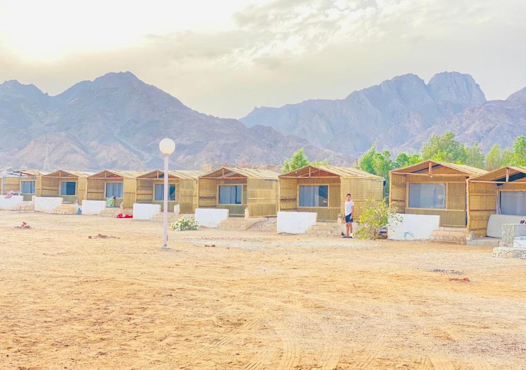 Photo of Others in Nuweiba