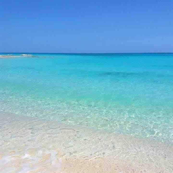 Photo of Others in Marina El Alamein