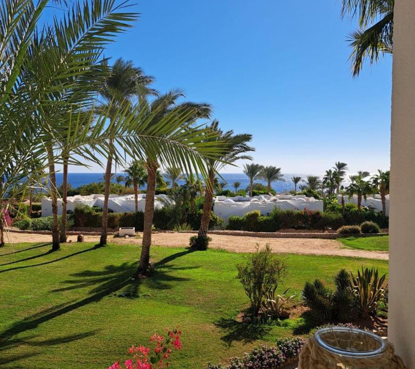 Photo of Others in Sharm El Sheikh