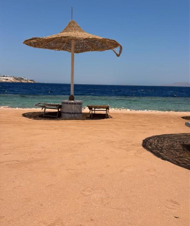 Photo of Others in Sharm El Sheikh
