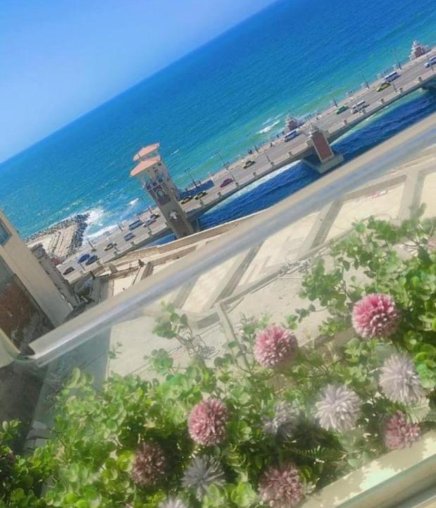 Photo of Others in Sidi Jabir