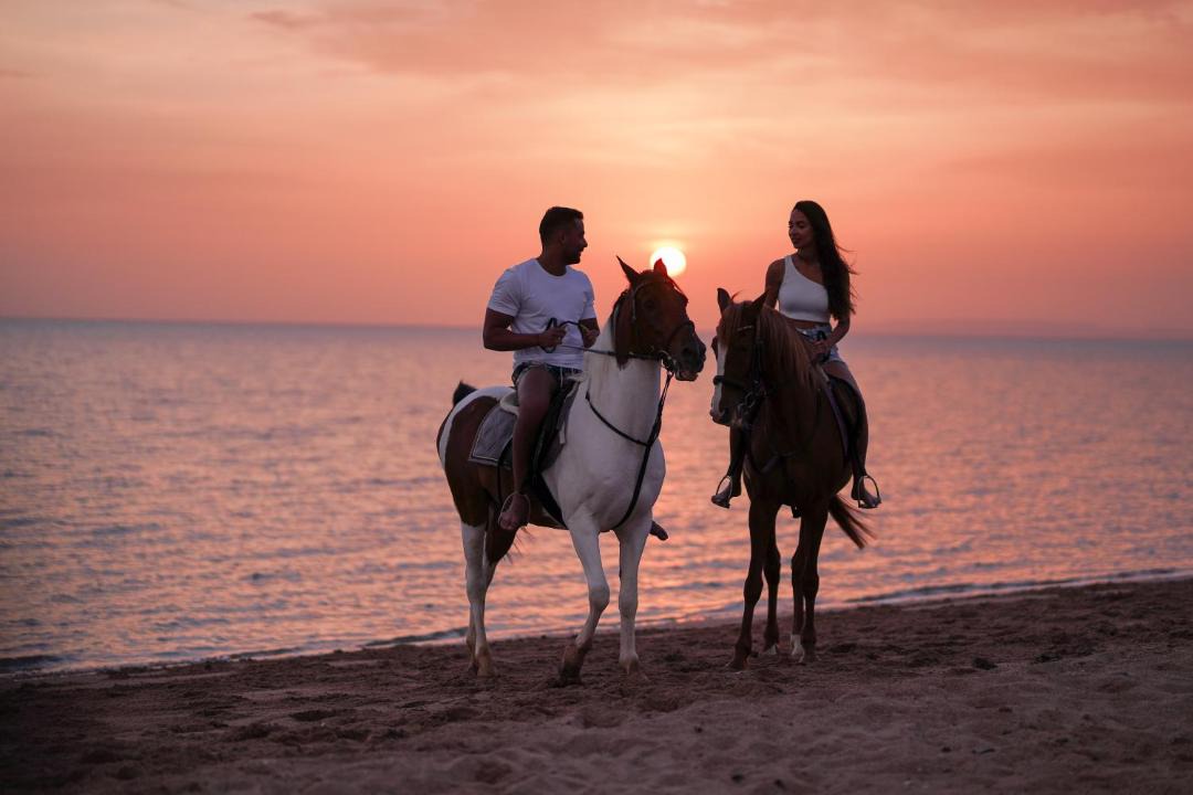 Photo of Others in El Gouna