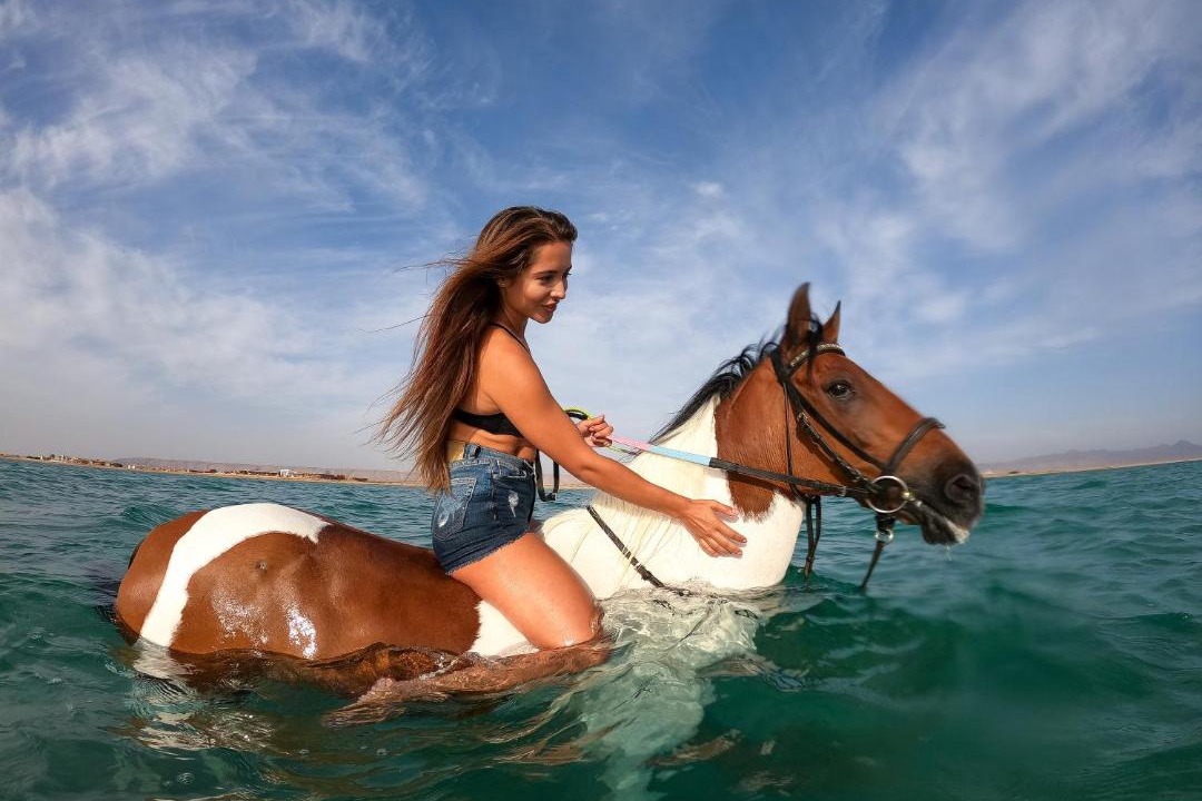 Photo of Others in El Gouna
