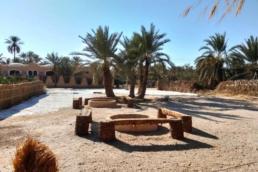 Photo of Others in Siwa