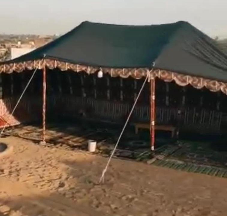 Photo of Others in Dakhla