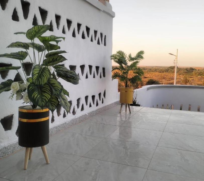 Photo of Others in Dakhla
