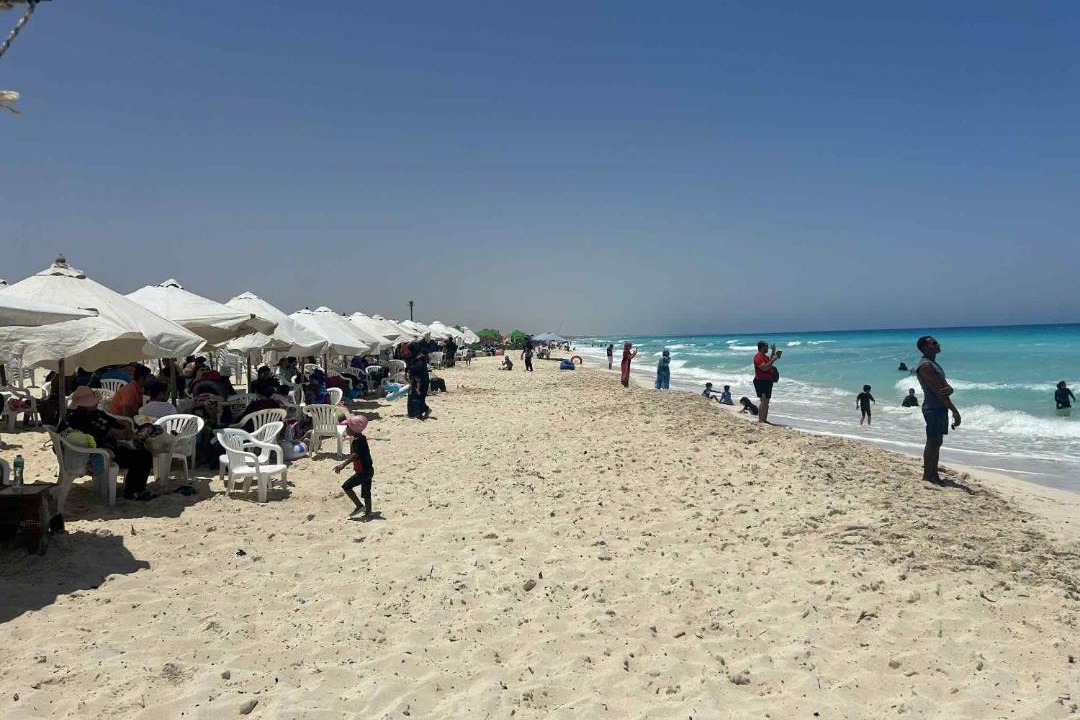 Photo of Others in Borg el Arab