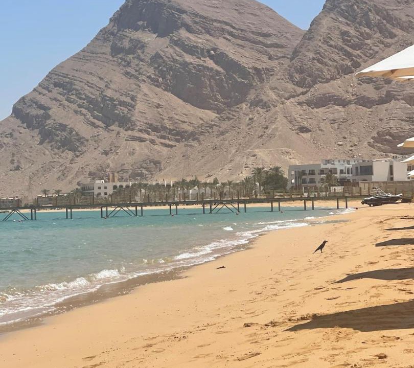 Photo of Others in Ain Sokhna