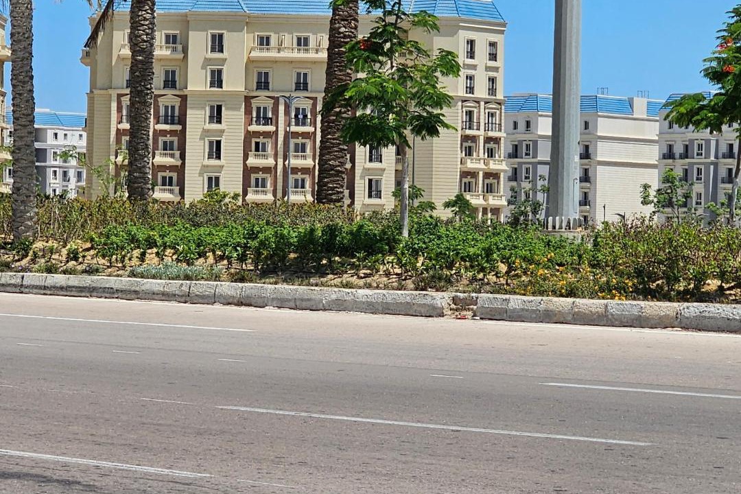 Photo of Others in Marina El Alamein