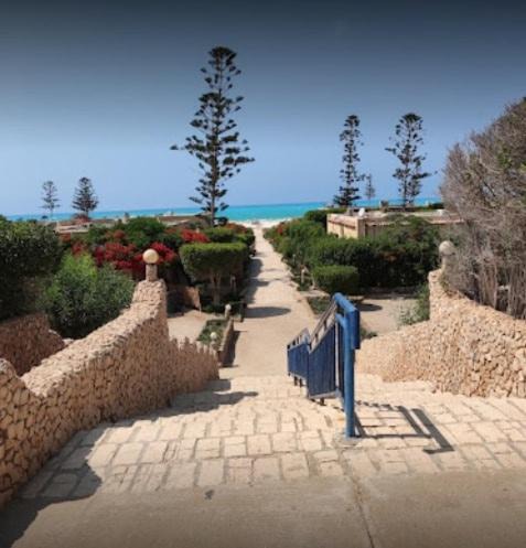 Photo of Others in Marina El Alamein