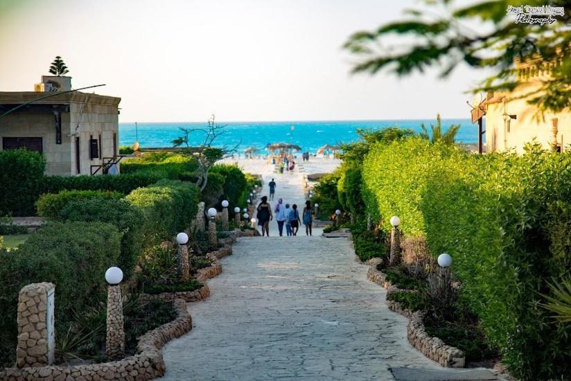 Photo of Others in Marina El Alamein