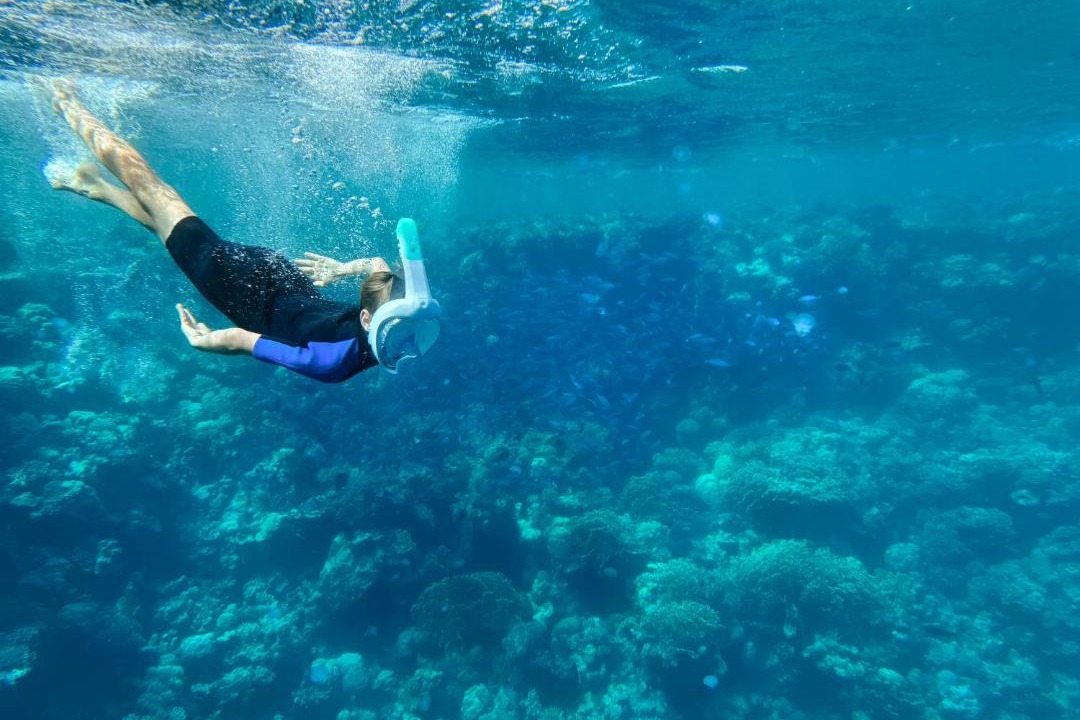 Photo of Others in Soma Bay