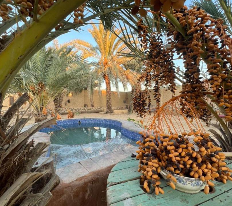 Photo of Others in Siwa