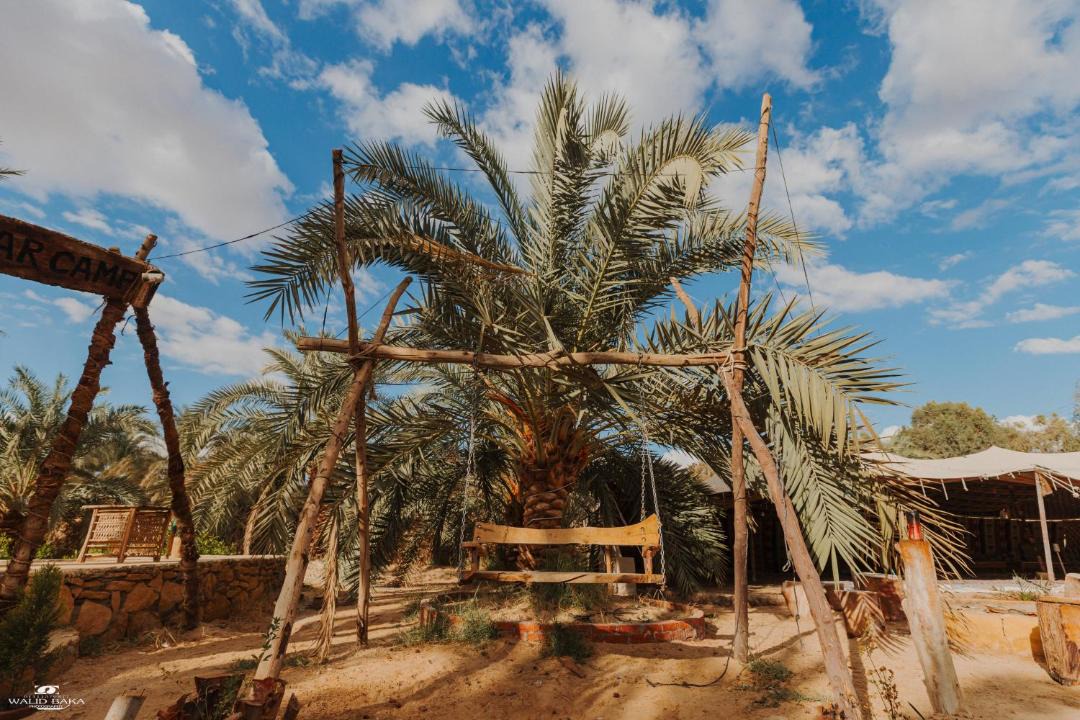Photo of Others in Marsa Matruh