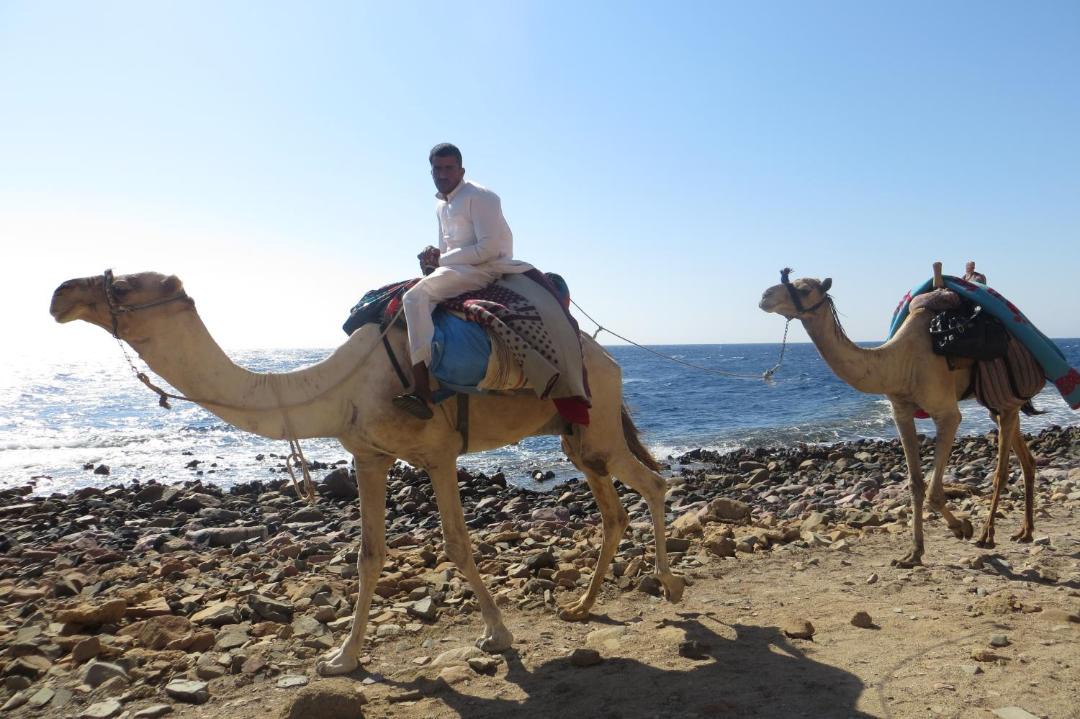Photo of Others in Dahab
