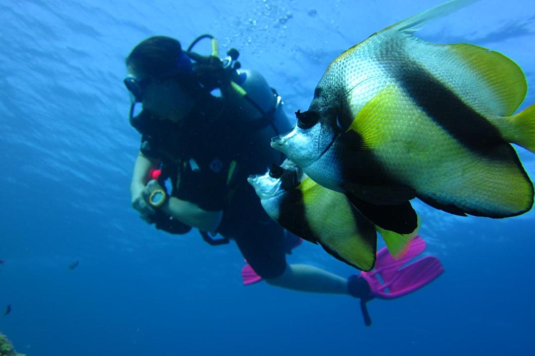 Photo of Others in Dahab
