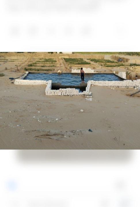 Photo of Others in Siwa