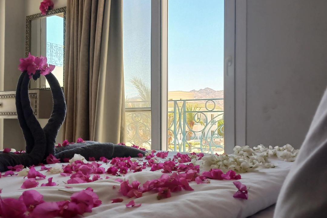 Photo of Others in Dahab