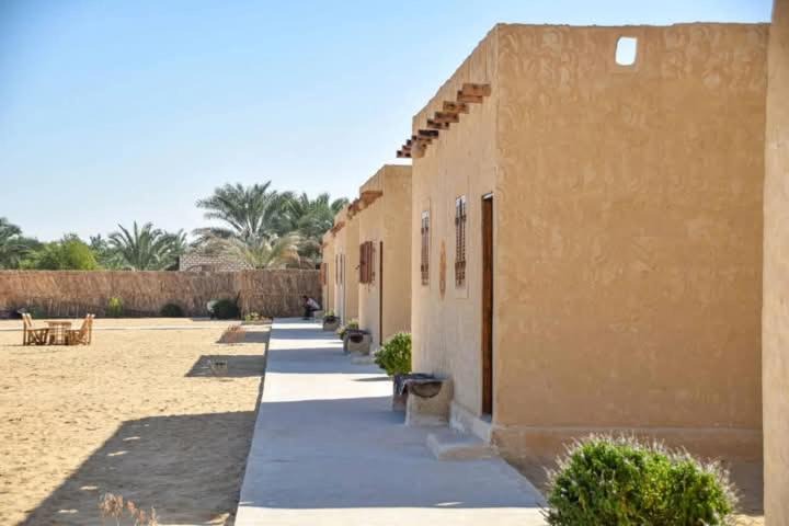 Photo of Others in Siwa