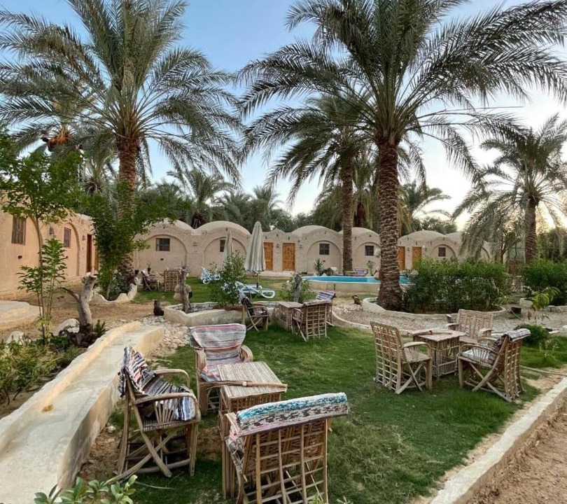 Photo of Others in Siwa