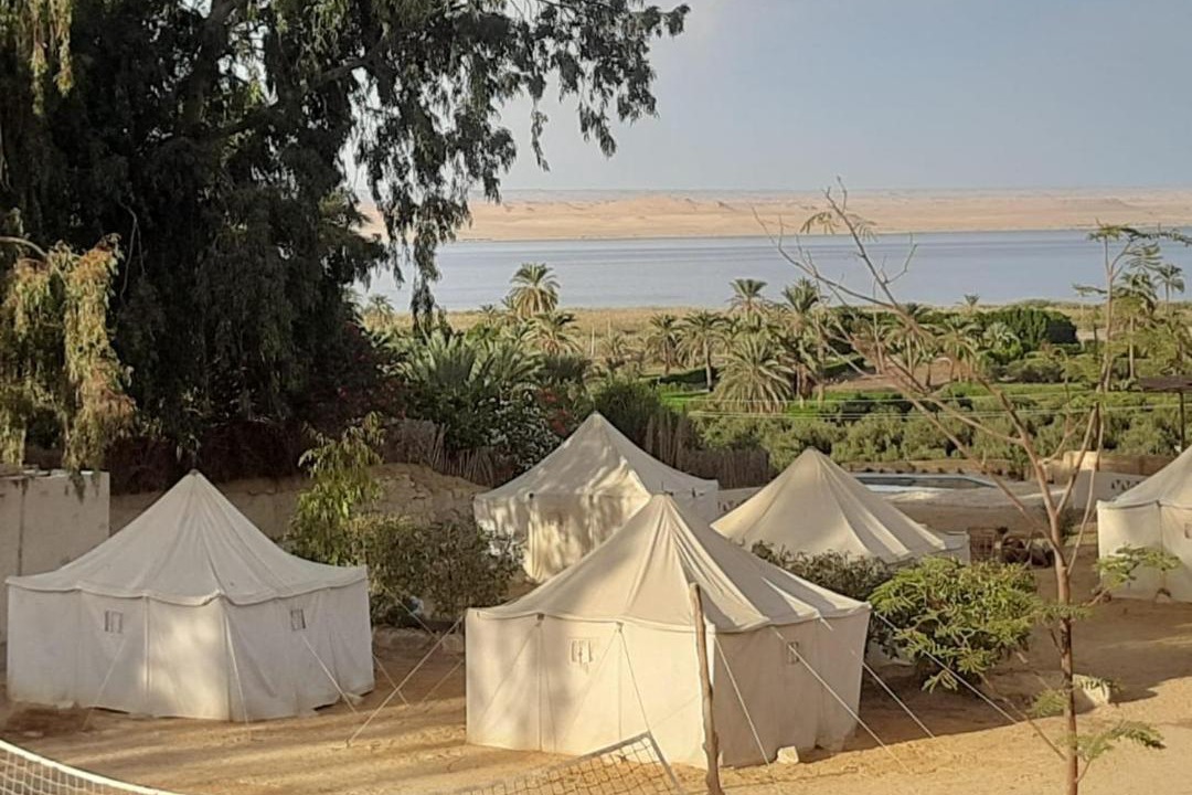 Photo of Others in Tunis Village