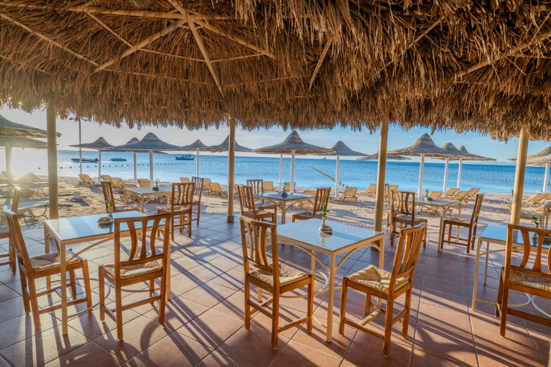 Photo of Others in Dahab