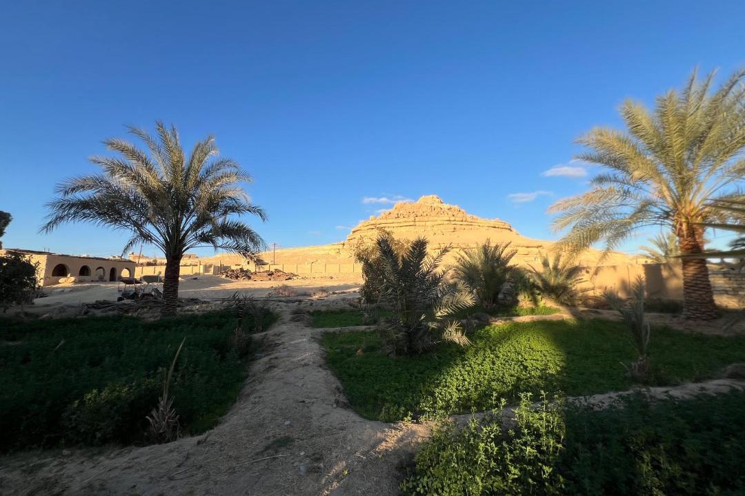 Photo of Others in Siwa